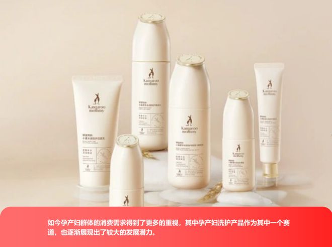 vereden看孕产洗护市场的潜力挖掘AG真人百家家乐app从兔头妈妈到E(图3)